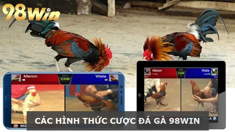 Các hình thức cược Đá gà 98Win quen thuộc