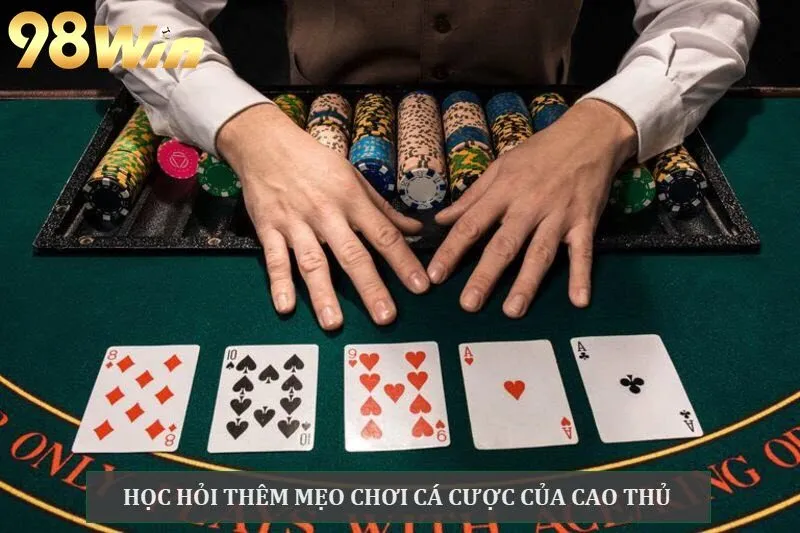 Bỏ túi bí kíp chơi game bài, cá cược của cao thủ