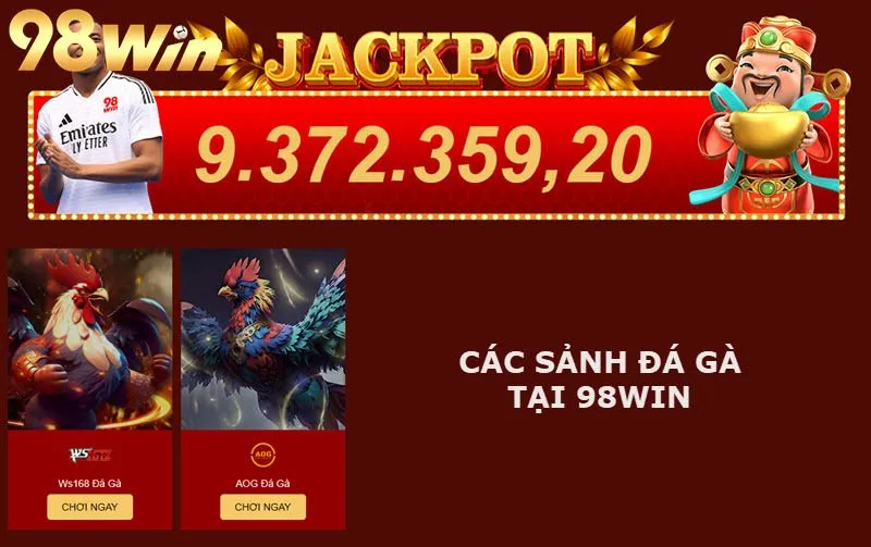 Các sảnh Đá gà 98Win